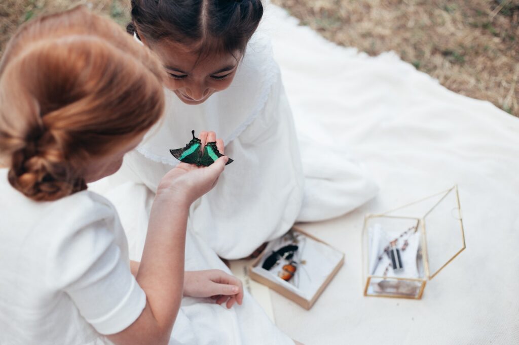 The Magical World of Butterflies: Fun Facts and Beautiful Photos!